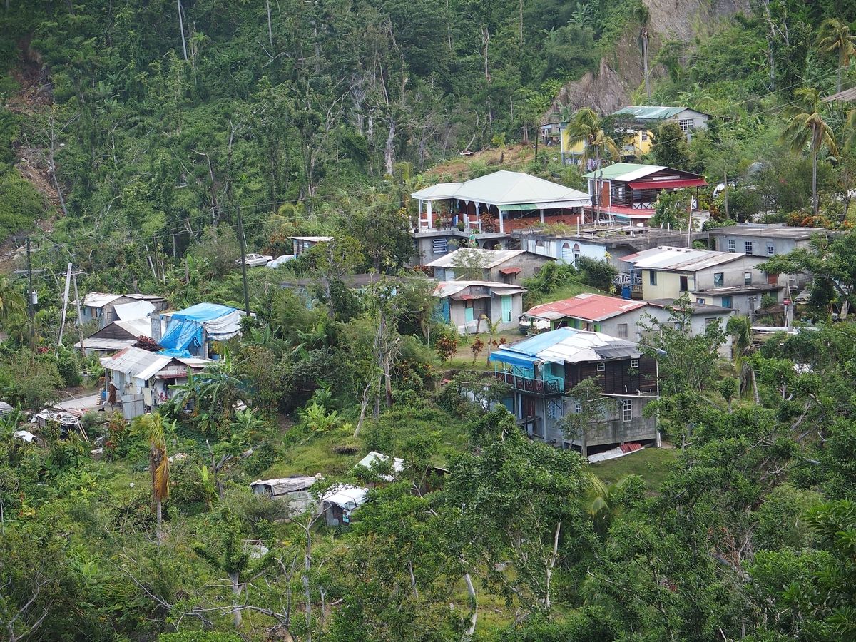 Wotton Waven Dominica